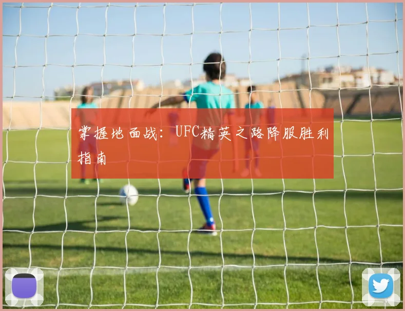 掌握地面战:UFC精英之路降服胜利指南