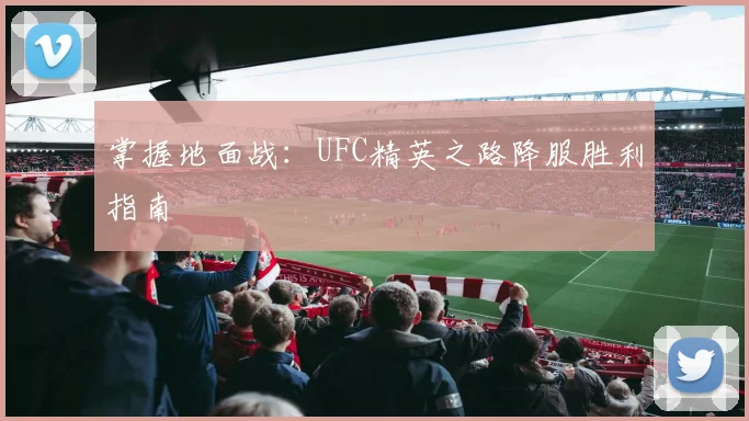 掌握地面战:UFC精英之路降服胜利指南