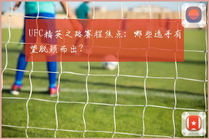 UFC精英之路赛程焦点：哪些选手有望脱颖而出？