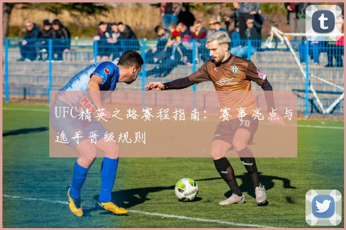 UFC精英之路赛程指南：赛事亮点与选手晋级规则