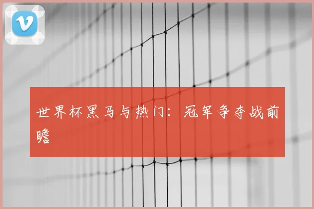 世界杯黑马与热门：冠军争夺战前瞻