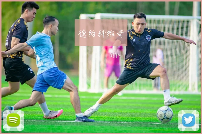 德约科维奇