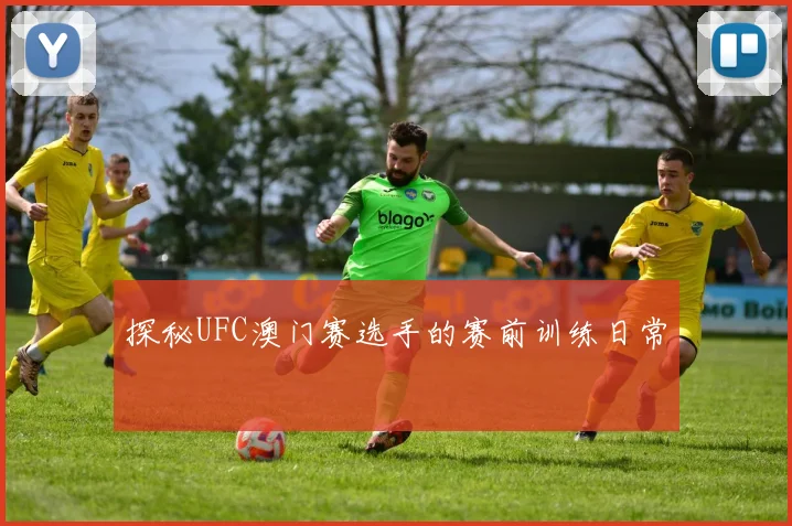 探秘UFC澳门赛选手的赛前训练日常