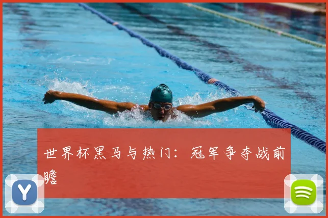 世界杯黑马与热门：冠军争夺战前瞻