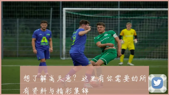 想了解高天意？这里有你需要的所有资料与精彩集锦