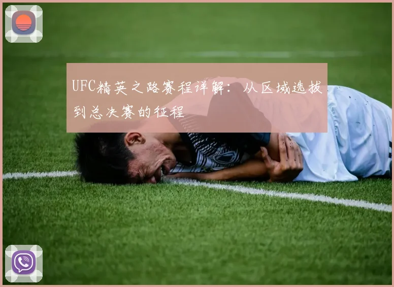 UFC精英之路赛程详解：从区域选拔到总决赛的征程