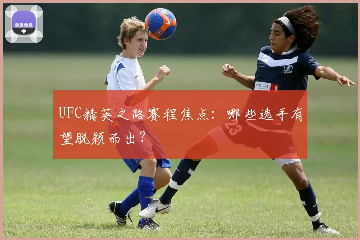 UFC精英之路赛程焦点：哪些选手有望脱颖而出？