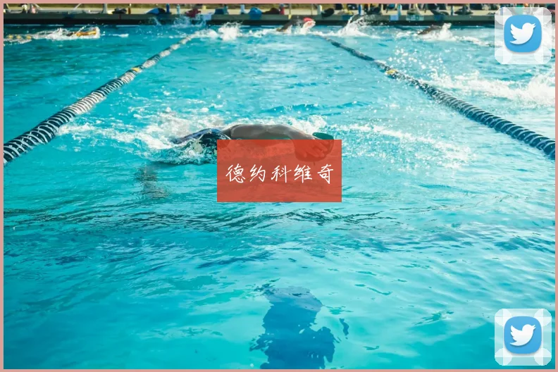 德约科维奇