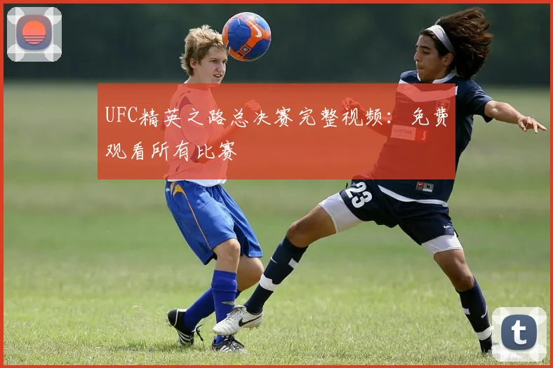 UFC精英之路总决赛完整视频：免费观看所有比赛