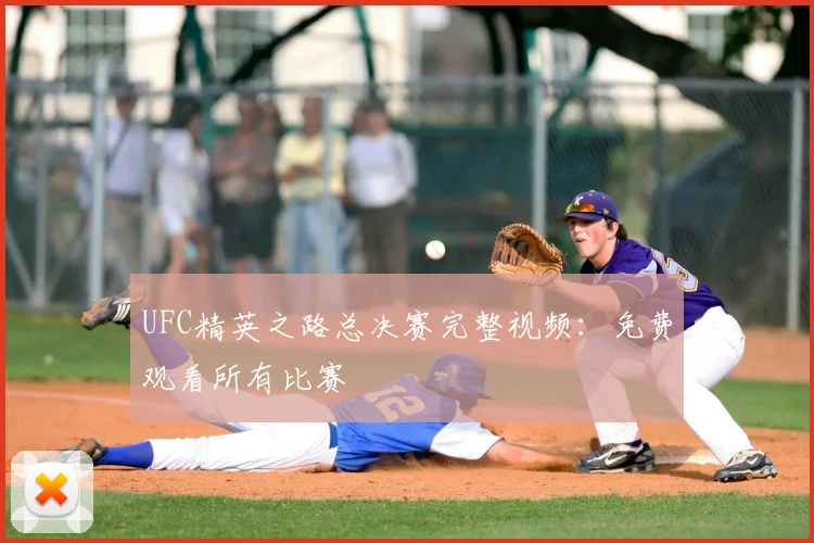 UFC精英之路总决赛完整视频：免费观看所有比赛