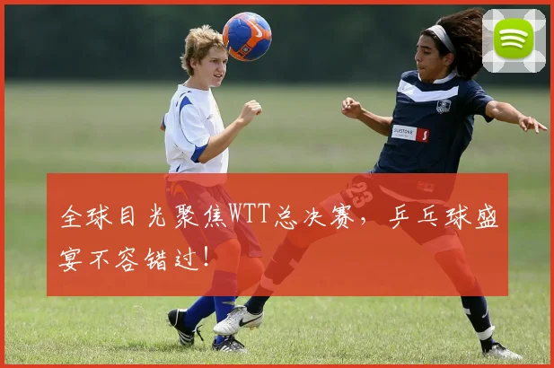 全球目光聚焦WTT总决赛，乒乓球盛宴不容错过！