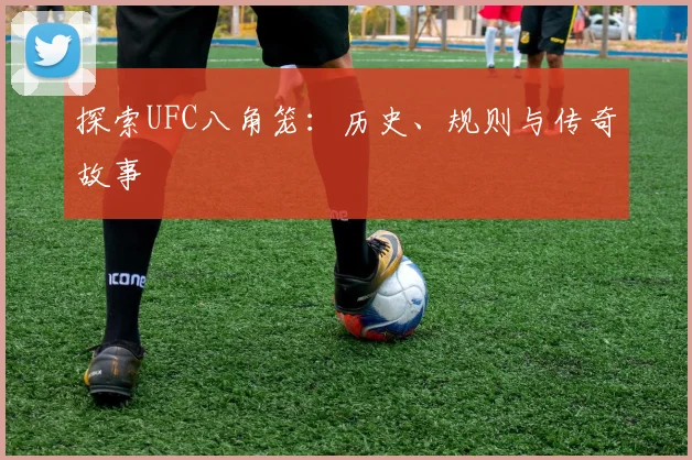 探索UFC八角笼:历史、规则与传奇故事