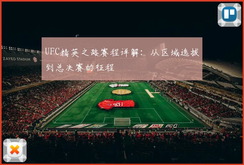 UFC精英之路赛程详解：从区域选拔到总决赛的征程