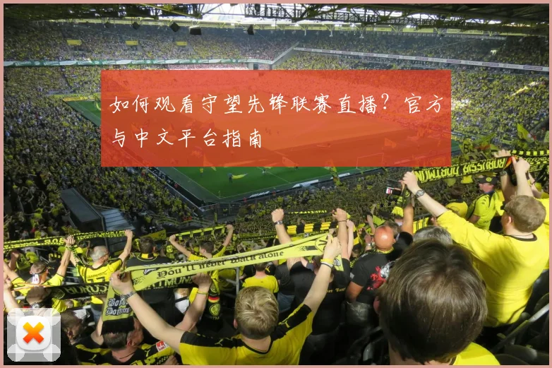 如何观看守望先锋联赛直播？官方与中文平台指南