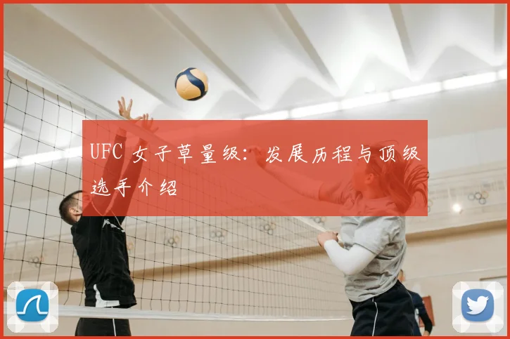 UFC 女子草量级:发展历程与顶级选手介绍